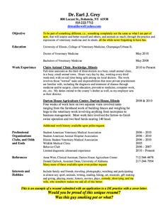 sample veterinary resumes