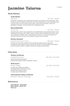 cv template youth worker 2 cv template sample resume resume