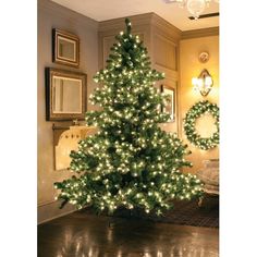 75 pre lit middleton full layered artificial christmas tree clear lights - Led Pre Lit Christmas Trees 75 pre lit middleton full layered artificial christmas tree clear lights - Led Pre Lit Christmas Trees