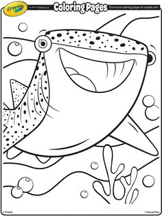 Destiny The Whale Shark