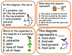 Worksheet Food Webs For Kindergarten Students 7 ideas to teach ecosystems and food webs chains science heres a set of 100 question cards on available from proteacher