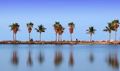 12 Best C Gables Matheson Hammock Park Beach Images On Matheson Hammock Beach Is Breathtakingly Beautiful Us Destinations South Miami C Gables