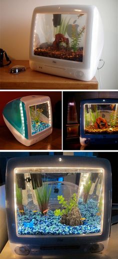 223 best aquarium stuffs
