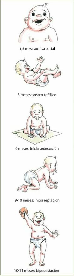 7 Ideas De Peatc Auditivo Neurología Otorrino