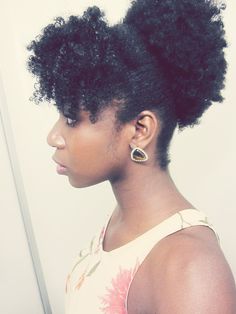 19 Twisted Updo On Medium Natural Hair Pinterest Cute Updo Natural Hair Everything