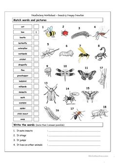 300 gk worksheets ideas worksheets preschool worksheets preschool activities
