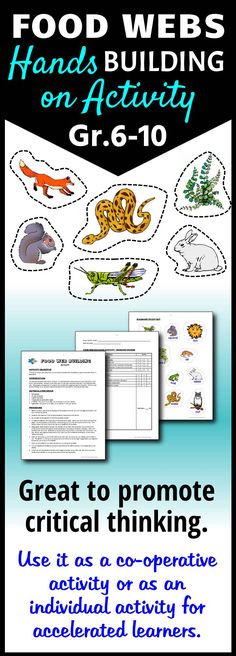 food chain game printable craft activity ideas for apologia food webs building activity editable