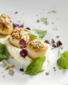 luxe voorgerechten luxe voorgerechten