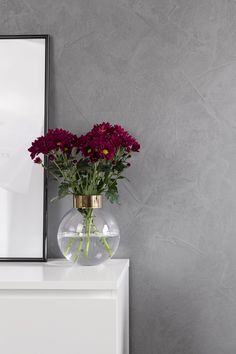 Die 18 besten Bilder auf Alpina Wandfarbe | Bird feeders, Wall ... Die 18 besten Bilder auf Alpina Wandfarbe | Bird feeders, Wall ...