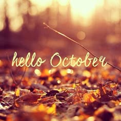 239 best hello october images on pinterest in 2018 hello october
