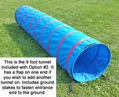 Pin By Mary S Picklesimer On Bichon Frise Agility