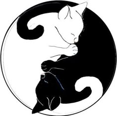 Ying Yang Cat Machine Embroidery Design Ying Yang Cat Machine Embroidery Design