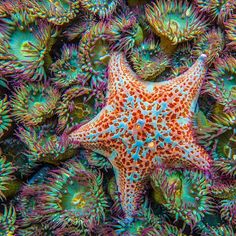 3204 best sea images
