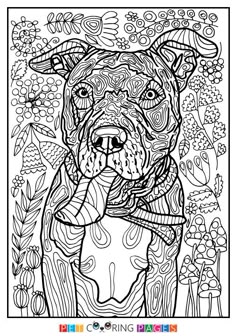 Free Printable American Pit Bull Terrier Coloring Page Tera Available For Download Simple