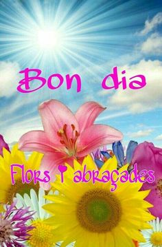 220 Ideas De Bon Dia Bona Tarda Bona Nit Bona Sé Bueno Buenas Noches En Catalan