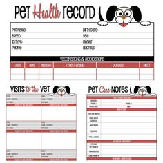 pet health a pinterest collection by rita valdez cute dogs cute