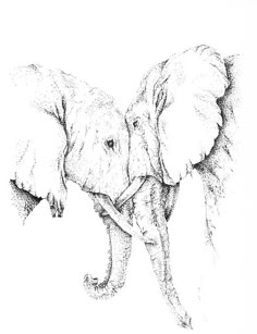 190 Best Elephant drawings ideas in 2022 | elephant, elephant art 190 Best Elephant drawings ideas in 2022 | elephant, elephant art