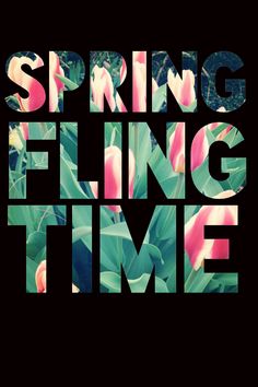 Partnersuche springe