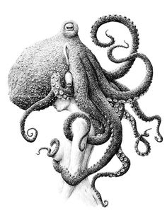 M Octopus Sweat Marin Tatouage Imprimer Pull Mer Animal Top Hat
