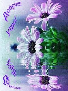 Фото – Google+