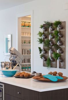 Hanging Herb Mason Jars Pinterest Fresh Herbs Easy Access And Growing Fresh Herbs In Your Kitchen Is Easier And More Stylish Than Ever With This Wall Mount Mason Jar Herb Garden Diy Project Pairs Functionality