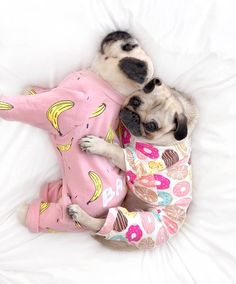 370 Ideas De Perritos Ropa Para Perros Vestidos Para Perros Ropa Para Mascotas