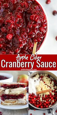 Our favorite Cranberry Sauce Recipe! Easy cranberry sauce flavored with apple cider, diced apple and maple syrup. Lightly spiced, mildly sweet and slightly tart – this is the perfect side dish for your Thanksgiving table. Snacks, Salsa, Dressing, Sauces, Tart, Easy Cranberry Sauce, Apple Cider