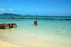 238 Best Hawaii Wedding Locations Images On Pinterest In 2018 The Turtle Pond Made Famous By Magnum Pi Robins Nest Private Beach On