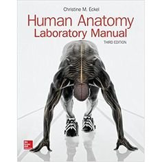 test bank anatomy physiology integrative approach 2nd edition