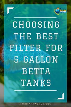 144 best fish tank