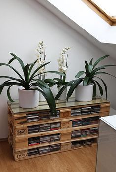 Ansikte, kruka, krukor, ansiktet, annelies design, kaktus ...