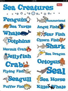 7 Best SEA ANIMALS LIST NAMES images | Ocean creatures, List of animals