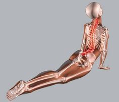 23 Ideas De Salud Hernia De Disco Lumbar Ejercicios Lumbares Ejercicios Para Hernia Discal