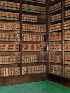 81 Best Denny S Backdrop Images On Pinterest Photography Cp6076 Bookshelves Freedom Cloth Backdrops