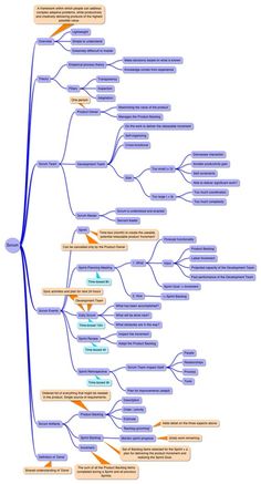 scrum project management