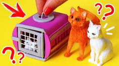 Dolls house miniature cat /& kitten-WHISKAS aliments paquet /& deux livres-fait main
