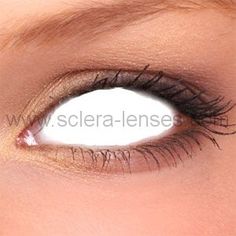 1028 best white contact