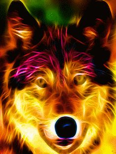 neon wolf neon wonders pinterest wolf wolf painting and wolf