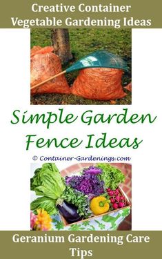Bird Feeder Gardman Hyking Classic 65426 | Home and Garden DIY ... Bird Feeder Gardman Hyking Classic 65426 | Home and Garden DIY ...