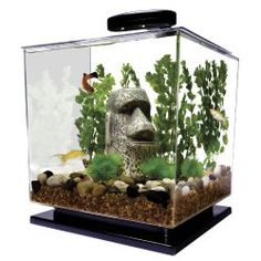 16 best aquariums equipment
