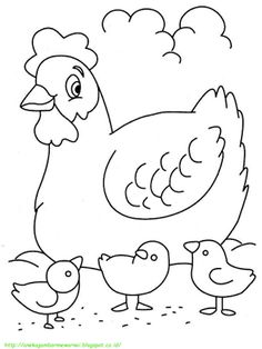 80 Gambar Ayam Yang Bisa Diwarnai 80 Gambar Ayam Yang Bisa Diwarnai