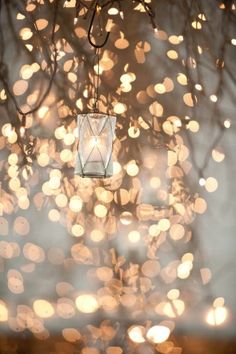 1466 best light hearted images on pinterest in 2018 christmas white christmas lights wallpaper