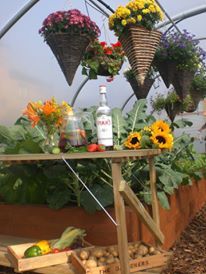 11 Best Fun With Polytunnels Images On Pinterest Bespoke Custom First Tunnels Are The Leading Supplier Of Polytunnels And Polytunnel Polythene In Uk
