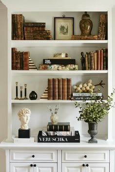The Art of Bookshelf Arranging The Art of Bookshelf Arranging