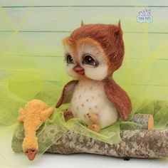 Filippo By Papis Inna - Bear Pile