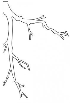 branch template