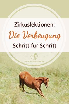 Image Result For Zitate Johnny Depp Englisch Image Result For Zitate Johnny Depp Englisch