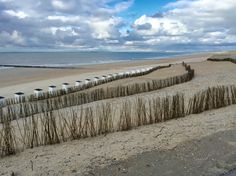 Zoutelande, Zeeland. | Outer banks beach, Cottage by the sea, Green beach