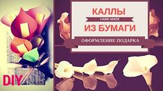 каллы из бумаги - YouTube