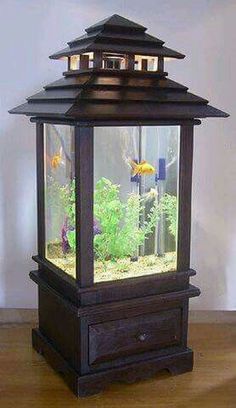 14 best fish aquarium